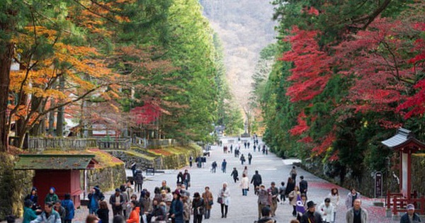 Japan announced limited “test tourism” from May, preparing to reopen