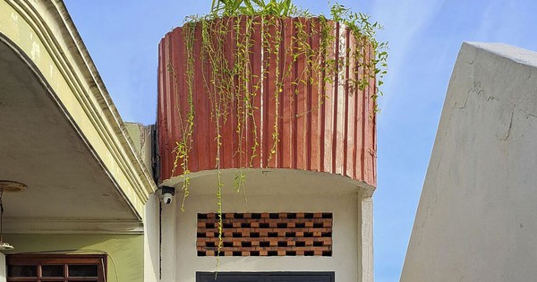 Renovating the tube house based on the parents’ hobby of ‘raising fish and taking care of plants’