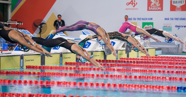 Diving Vietnam continues to prove its status as a “gold mine” at the 31st SEA Games