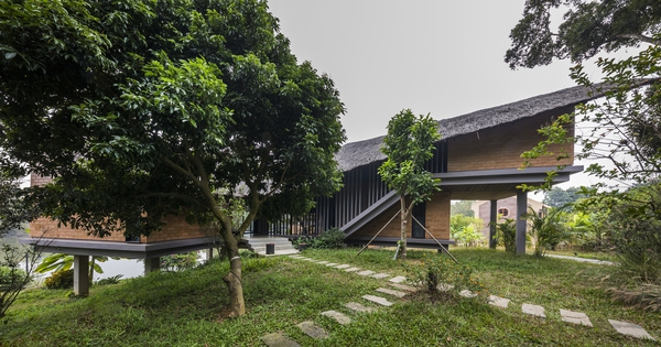 The house is hidden under the trees, merging with the water