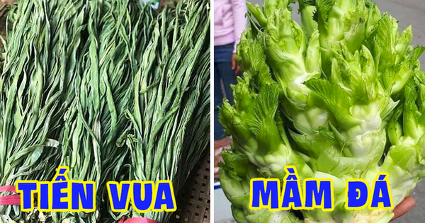 Vietnam has 4 types of vegetables that are more expensive than fish, even if you want to eat, you may not have to buy them