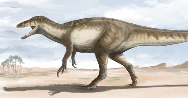 Not a tyrannosaur, this dinosaur is much bigger and more dangerous