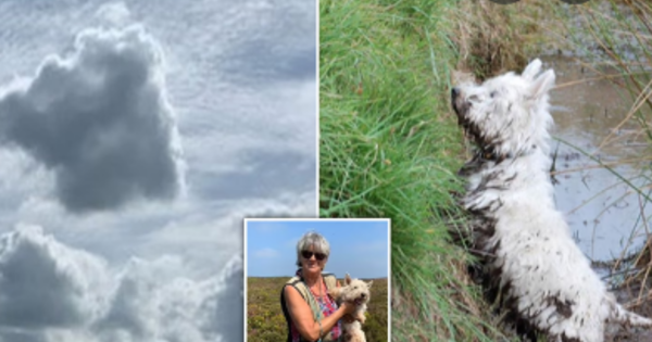The woman suddenly burst into tears when she saw her lost pet dog appear in the sky