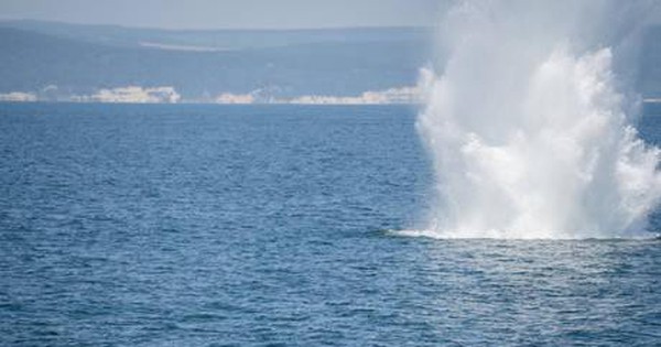 Massive explosion at sea causes death in Mariupol, suspected torpedo