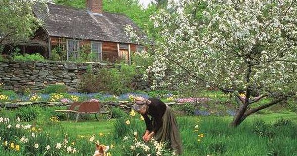 Hidden behind the divorce, the old female artist lives in a beautiful fairy-tale house, taking care of the garden by herself, raising goats for milk.