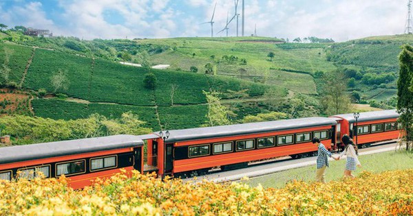 The scene of the train in the middle of a flower field is as beautiful as the European sky
