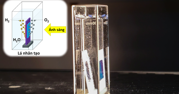 New artificial leaves – new fuel source