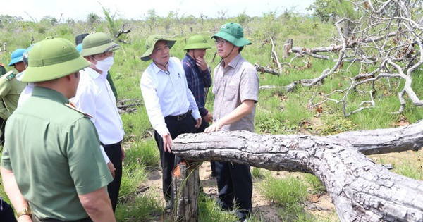 Disciplinary 2 officials involved in the biggest deforestation case in Dak Lak