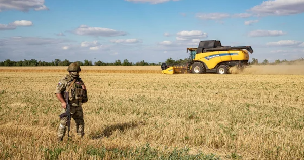 thumbnail - Thỏa thuận xuất khẩu được ký, nhưng giải cứu 22 triệu tấn ngũ cốc Ukraine không đơn giản