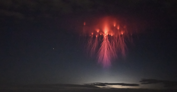 thumbnail - "Sứa đỏ" xuất hiện trên bầu trời: Cảnh đẹp hiếm có nhưng cũng là sự ám ảnh của các phi hành gia
