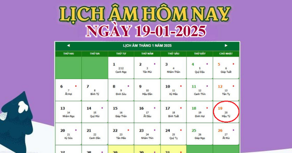 Lịch âm 19/1 – Âm lịch hôm nay 19/1 chính xác nhất – lịch vạn niên 19/1/2025