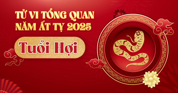 Tử vi tổng quan tuổi Hợi năm Ất Tỵ 2025: Sự nghiệp thăng tiến, tài lộc dồi dào, lưu ý chuyện tiền bạc