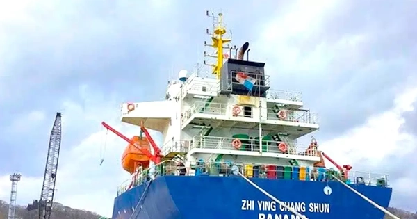 Lý do một tàu hàng từ Trung Quốc đến Quy Nhơn bị bắt giữ