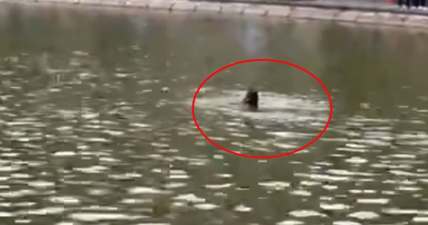 Đã xác định danh tính cô gái đuối nước tử vong ở hồ Hoàn Kiếm, người thân tiết lộ thêm thông tin