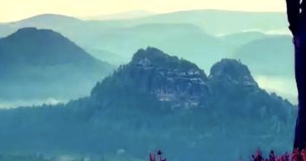 Đến tuổi 40, tôi mới thấm lời Steve Jobs: “Hãy cứ khát khao, hãy cứ dại khờ” và đây là lý do sốc