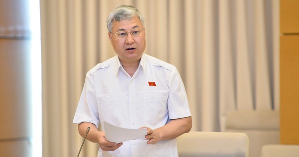 Đại biểu Quốc hội: Áp thuế 1-5% trên doanh thu là 'hết cả lãi' của người kinh doanh nhỏ lẻ