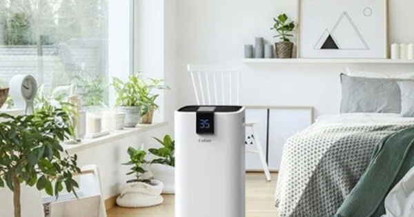 Chống nồm ẩm bằng máy hút ẩm, hiệu quả có đáng tiền?