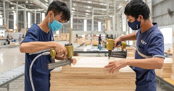 Ngành gỗ chuyển đổi kép để thoát gia công