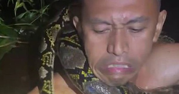 Cảnh tượng kinh hoàng: Trăn khổng lồ kéo người trên thuyền xuống sông ở Indonesia