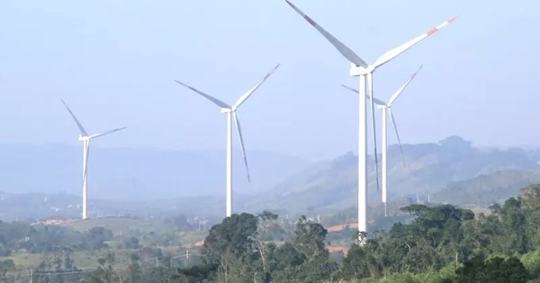 NSMO lên tiếng việc cắt giảm đột ngột công suất dự án điện gió Quảng Trị