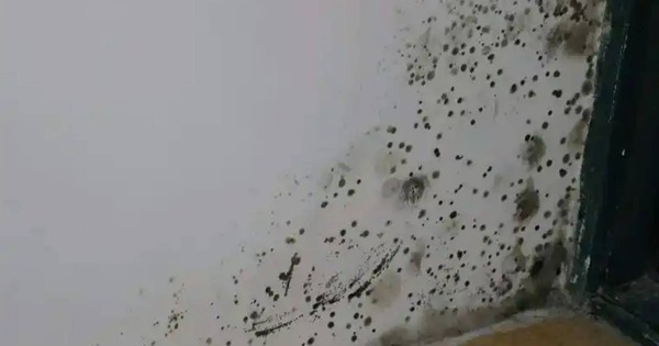 6 mùi hôi thối tanh nồng trong nhà cảnh báo nguy hiểm