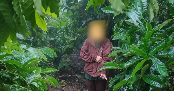 Bắt Phạm Thị Thanh Lương