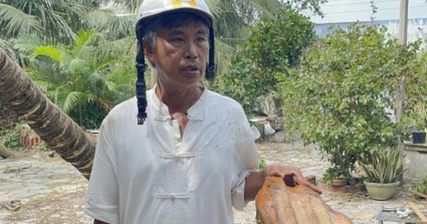 Chủ nhân 'cây dừa bị tôn bay chém đứt thân' trong bão số 13 nói gì?