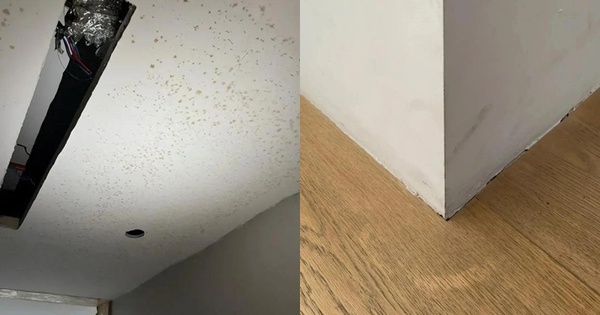 Đẹp trên mạng nhưng thảm họa ngoài đời: 6 thiết kế khiến cả nhà tôi hối hận sau vài tháng ở