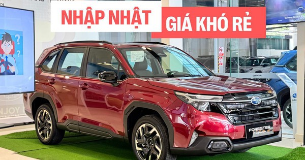 Chi tiết Subaru Forester 2025 vừa ra mắt Việt Nam: Nhập khẩu Nhật Bản, máy xăng 2.5L mới, nâng cấp ADAS, giá khó rẻ