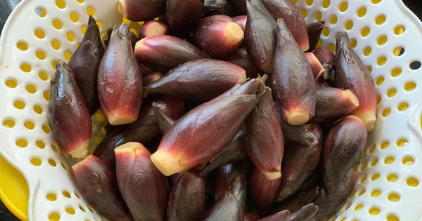 Loại rau người Nhật coi như "nhân sâm châu Á": Mọc đầy Việt Nam nhưng ít người biết