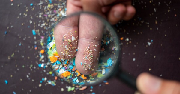 Thực phẩm ‘ngậm’ nhiều vi nhựa có mặt thường xuyên trên mâm cơm người Việt