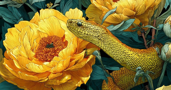 Vượng khí bùng nổ ngày 13/11: 3 con giáp được sao tốt hộ mệnh, tình duyên thăng hoa, tài lộc ngập tràn