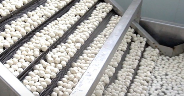 Một mặt hàng ‘ngon bổ rẻ’ của Việt Nam đang đắt hàng từ Á đến Âu: Vừa thu về hơn 200 triệu USD, Thái Lan, Hàn Quốc đua nhau săn lùng