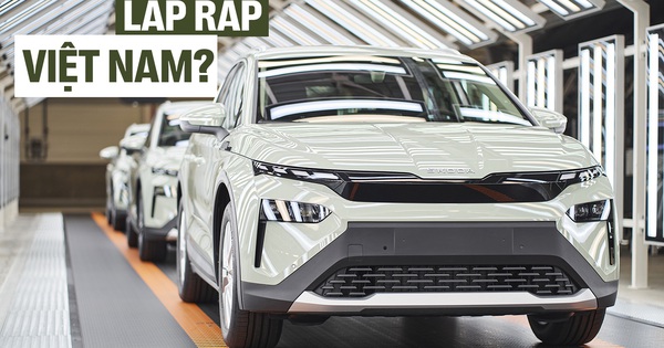 Đây là 2 xe điện Skoda có thể lắp tại Việt Nam năm sau: Mẫu nhỉnh hơn Karoq quy đổi từ 1 tỷ đồng, Enyaq có bản mới