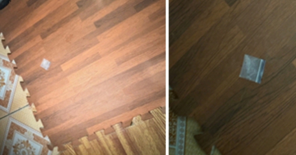 Bảo vệ trường tiểu học ở Hải Phòng tổ chức ‘bay lắc’ ngay nơi làm việc