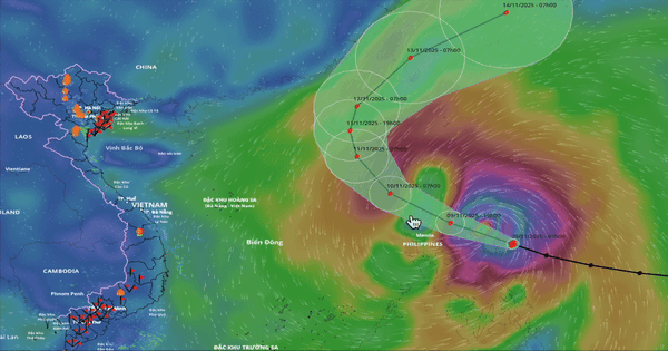 Bão Phượng Hoàng sắp đạt cấp siêu bão, Việt Nam có thể ảnh hưởng thế nào?