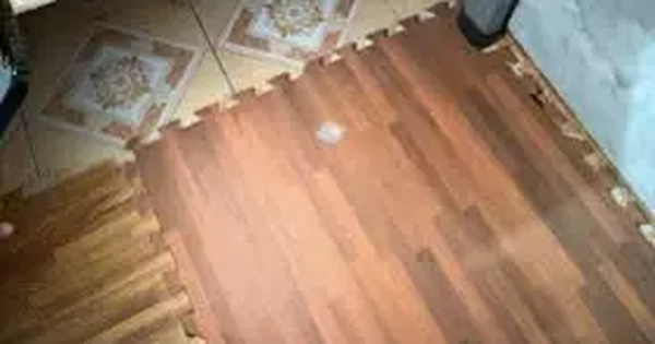 Bảo vệ trường tiểu học ở Hải Phòng tổ chức 'bay lắc' tại phòng làm việc