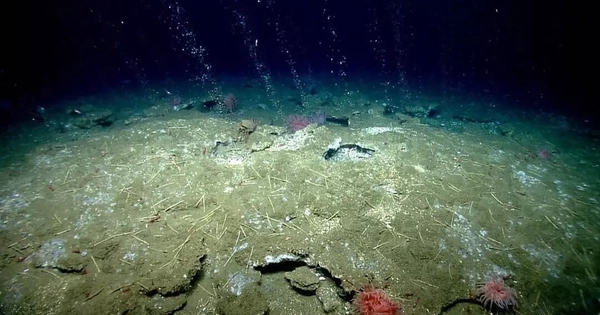 Phát hiện 40 'lỗ thở' bất thường dưới đáy biển Nam Cực, chuyên gia nói: Trái Đất có thể lâm nguy