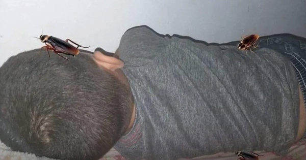 1 bức ảnh chỉnh sửa của mẹ khiến cậu bé sợ đến mức tắm 20 lần/ngày, nhiều phụ huynh xem cũng rùng mình