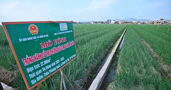 Đề xuất quảng bá, tiêu thụ nông sản qua ứng dụng AI