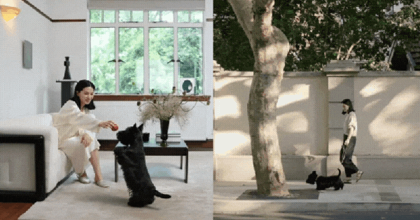 Căn hộ 200m² và người phụ nữ tuổi 40 sống một mình: Minh chứng rằng tự do đến từ tài chính vững, không phải hôn nhân