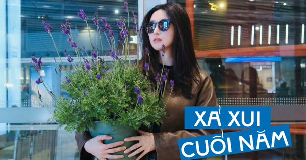 Loài hoa đáng trồng nhất ban công dịp cuối năm: Vừa thơm phòng, ngủ ngon lại âm thầm hút vận may, xả xui cực tốt