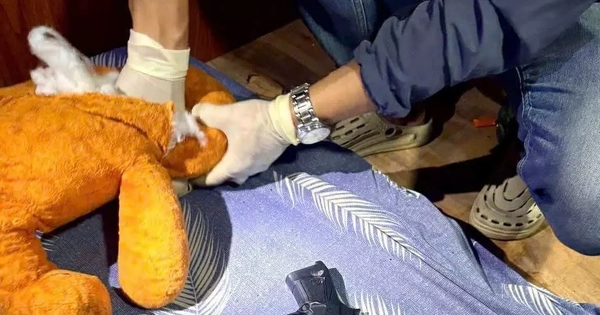 Cảnh sát dùng máy xúc đào bới hàng nghìn m2 tìm ma túy chôn dưới lòng đất