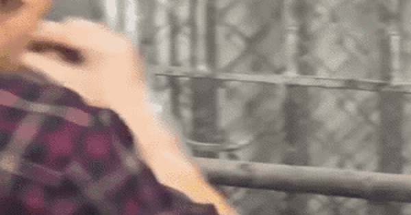 Khách Tây kể lại phản ứng lúc nhân viên bỏ đồ ăn trong miệng vào bánh mì ở Ninh Bình