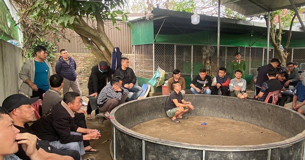 Cảnh sát đồng loạt đột kích khu vực sau nhà của Hồ Anh Quyết, bắt 28 người