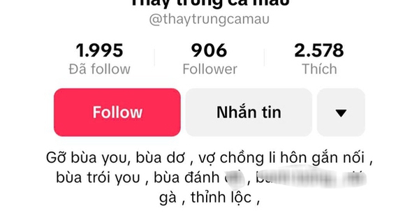 Chủ tài khoản TikTok "Thầy Trung Cà Mau" ra giá...