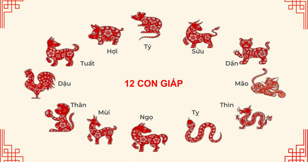 Tử vi 12 con giáp năm Ất Tỵ 2025: Đâu là những con giáp thăng tiến và giàu có nhất?