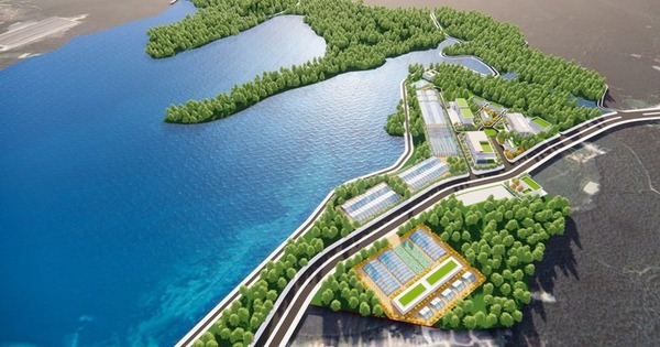 Việt Nam sắp xây dựng Khu lâm nghiệp ứng dụng công nghệ cao đầu tiên rộng 618ha