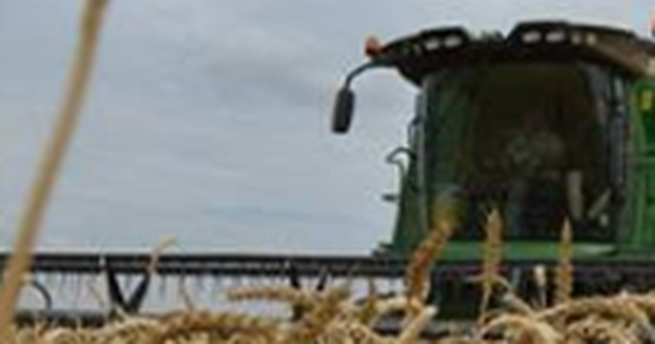 Hàng chục nghìn tấn ‘báu vật’ từ Mỹ vừa đổ bộ Việt Nam với giá cực rẻ: Thuế nhập khẩu 0%, là mặt hàng cả thế giới đều cần