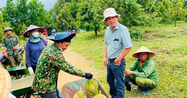 Sở hữu nông trại sầu riêng 2.000ha lớn nhất Đông Nam Á, Hoàng Anh Gia Lai của bầu Đức đón nhận tin vui từ Thủ tướng